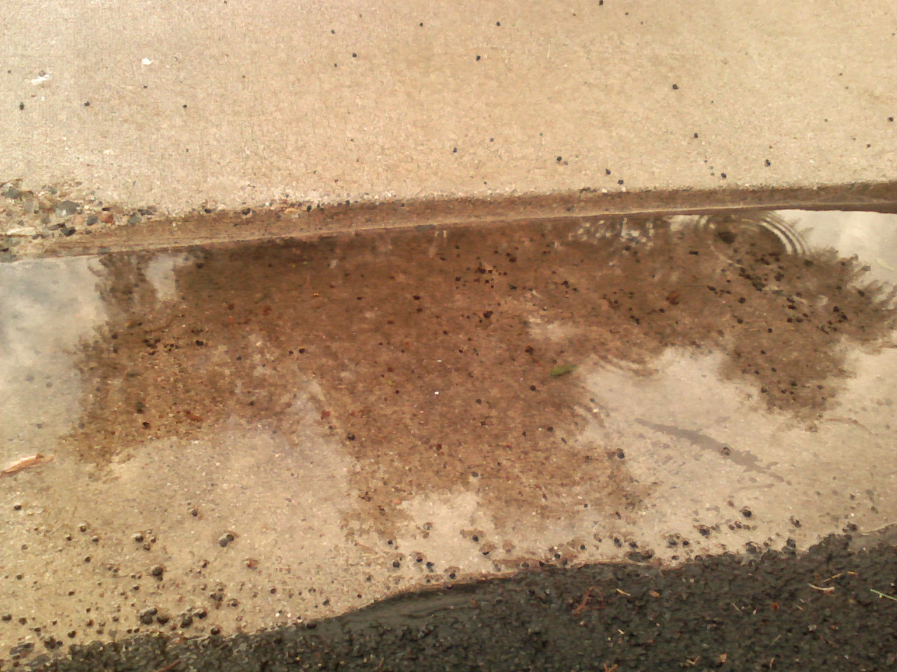 0611092023 Gracious Rain